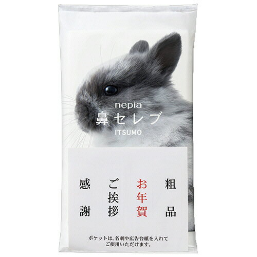 乐天商城 - 王子ネピア　ネピア鼻セレブ　ITSUMO　PLUS　48組／個　1パック（10個）【法人限定】【送料無料】