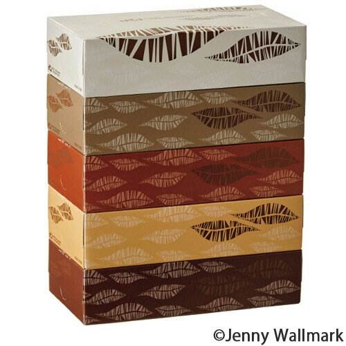 Tissue （Box） - TANOSEE　ティッシュペーパー　Feathers　200組／箱　1セット（60箱：5箱×12パック）【法人限定】【送料無料】
