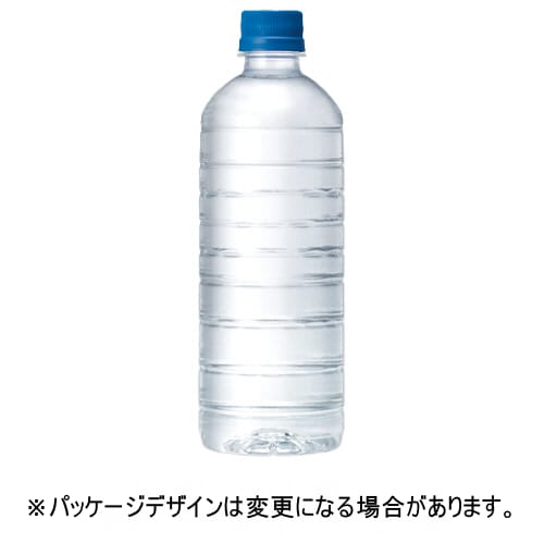 キリンビバレッジ　自然が磨いた天然水　ラベルレス　600mL　ペットボトル　1セット（48本：24本×2ケース）【法人限定】【送料無料】