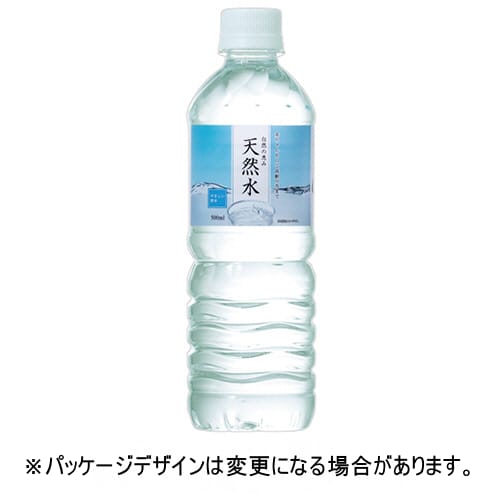 乐天商城 - ライフドリンク　カンパニー　自然の恵み　天然水　500mL　ペットボトル　1セット（96本：24本×4ケース）【法人限定】【送料無料】