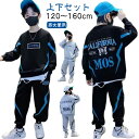 秋冬 子供服 上下セット スウェットパンツ 140 トレーナー 女の子 長袖 春 ジュニア 男の子 スポーツウェア キッズ ジャージ セットアップ カジュアル ...