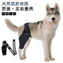 膝 関節プロテクター 犬 固定 関節保護 犬用 靭帯 サポーター 犬用 後ろ足 ケア用品 介護 リハビリ 包帯 ペット用品 歩行補助 老齢犬 脱臼 前足 犬骨折治療 保護 肘当て 腕 肘 老犬 シニア犬 高齢犬 小型犬 中型犬(4)
