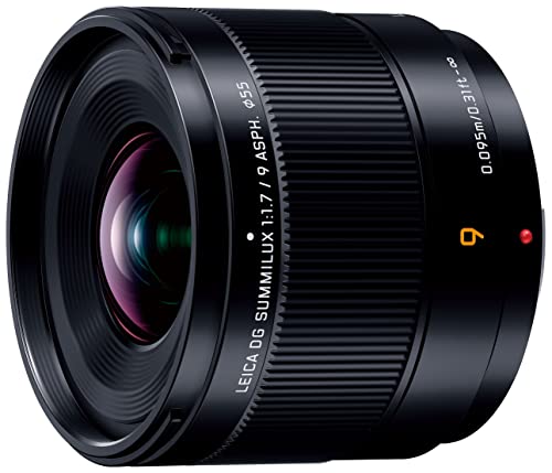 樂天商城 - Panasonic LUMIX カメラレンズ 交換可能レンズ デジタル一眼カメラ用 H-X09