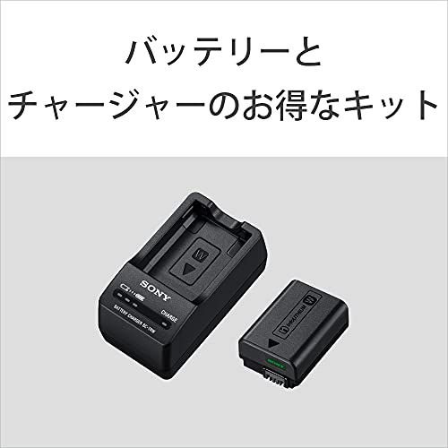 ソニー カメラ用バッテリー+チャージャーセット ACC-TRW(Wバッテリー用)