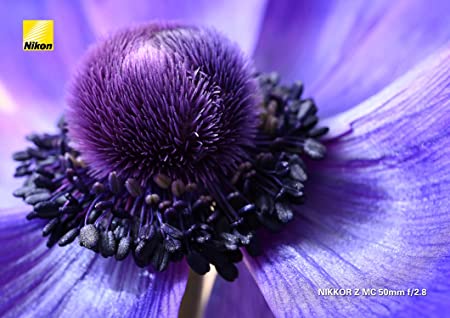 Nikon 単焦点マクロレンズ NIKKOR Z MC 50mm f/2.8 Zマウント フルサイズ対応 NZMC50