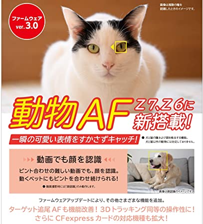 Nikon �ߥ顼�쥹����� ��� Z7 �ܥǥ�