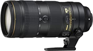 Nikon ]Y[Y AF-S NIKKOR 70-200mm f/2.8E FL ED VR tTCYΉ