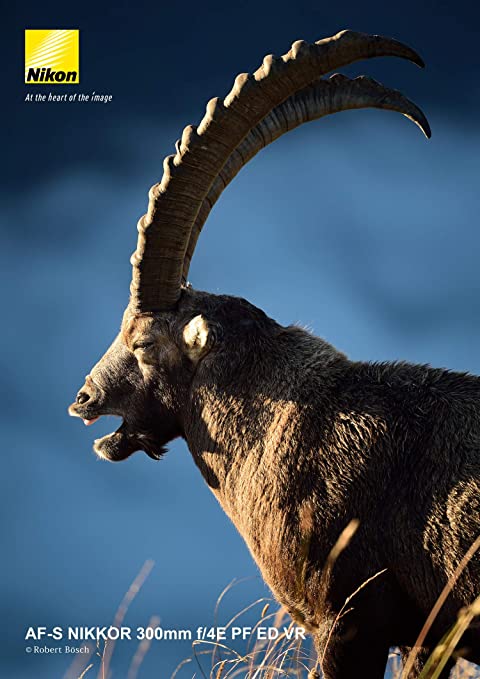 Nikon 単焦点レンズ AF-S NIKKOR 300mm f/4E PF ED VR フルサイズ対応 AFSVRPF300 4