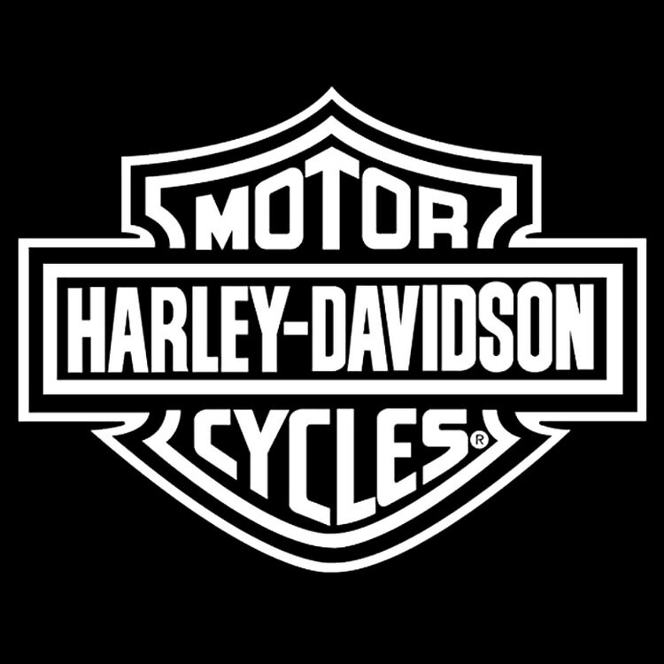 ステッカー ハーレーダビッドソン ラージ ダイカットデカール ”H-D B S LOGO” CG4311 約27.9×35.5cm 耐候性ビニル Harley-Davidson ステッカー シール デカール 車 アメリカ製 アメリカ雑貨