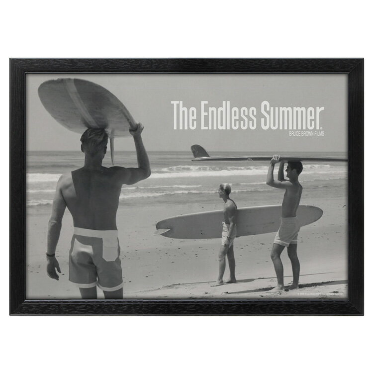 ǲݥ ֥롼֥饦 The Endless Summer ɥ쥹ޡmono1 ʥե졼դݥ