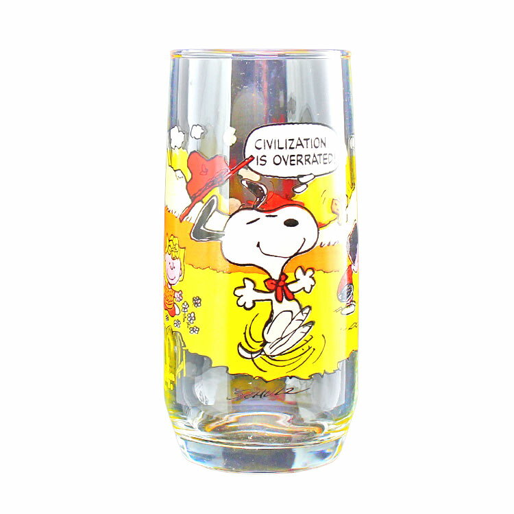 「マクドナルド キャンプスヌーピーコレクション ヴィンテージグラス」は、レトロでかわいいデザインが魅力のアイテム。 スヌーピーと仲間たちがキャンプを楽しむイラストが描かれた、可愛らしくて温かみのあるデザインです。 16oz（473ml）のた...