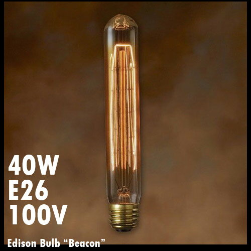 d g  GW\ou r[R 40W E26 Edison Bulb GW\d CeA ԐڏƖ AJG AJG