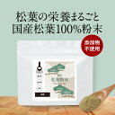 楽天自然食品 健美茶本舗 きりしま農園＼LINE登録で20％OFFクーポン／ 粉末 松葉茶 国産 松葉粉末 100g 健康茶 アカマツ 無添加 パウダー ハーブティ 残留農薬検査済 放射性物質検査済 健康 安心 栄養 ビタミン クロロフィル ケルセチン 送料無料 リラックス 赤松 あかまつ nkdy