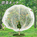 送料無料 植物保護カバー 防虫ネット 園芸用防虫ネット ジッパー付き 菜園 プランター 園芸用ネット 透明 通気性 虫鳥除け網 1x0.8m 1x1.5m 1.2x0.8m 1.2x1.44m