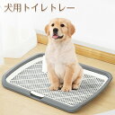 送料無料 犬 トイレトレー ワイド 小型犬 中型犬 大型犬対応 ワイド はみ出し防止 飛び跳ね防止 ステップ しつけ 犬用 マーキングポール 大型犬トイレ トイレトレーニング 足元いつでも綺麗 屋内/屋外 お手入れ便利