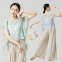 送料無料 ダンス トップス 長袖 シースルー 古典ダンス衣装 飄逸 練功服 袖フリル クラシカル 古典ダンス ダンストップス レッスンウェア バレエ モダンダンス 衣装 社交ダンス 無地 透け感 エレガント 練習着 チャイナダンス Tシャツ カットソー 6色 体型カバー S M L XL