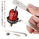 送料無料 タネ取り 種取り器 タネ抜き オリーブ なつめ お菓子作り 芯抜き器 道具 ステンレス 種取り用 道具 芯抜き器 握るだけで種がキレイに取れる チェリー 製菓用品 種とり さくらんぼ