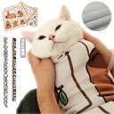 くっつくクロス 猫 くつっくタオル くっつくろす ぺたぺたクロス 包むだけ マジッククロス 猫用グルーミングラップ 暴れ防止 猫爪切り 歯磨き 耳掃除 服薬 目薬 肉球 ペット美容 補助具 ランチクロス ハンカチ くっつくくろす ポーチ タオル マルチラップクロス