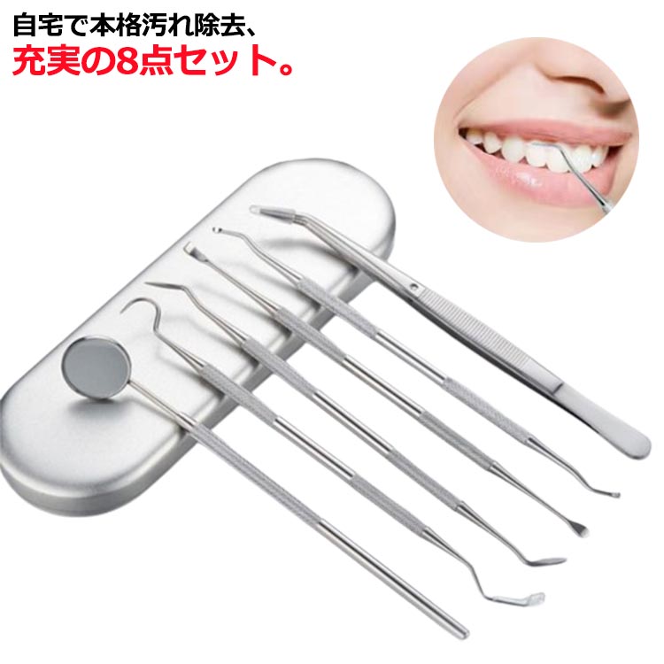 送料無料 歯石とり 口腔ケア器具 スケーラー 虫歯 ヤニとり 歯垢 先極細 ステンレス製 プロ仕様 自分で取る デンタルツール 歯石除去 器具 自宅用 収納ケース付き 歯科ツールセット 口腔清潔 自宅用 敬老の日 6点セット 歯石取り