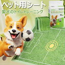 送料無料 ペットシーツ 愛犬のトイレトレーニング おむつシート 厚手 吸収量u 犬 猫 トイレ シート シーツ 大容量 まとめ買い ペット用 トイレシート オリジナルシーツ シーツ ワイド 犬 おしっこシート 1回使い切り粗相をしない