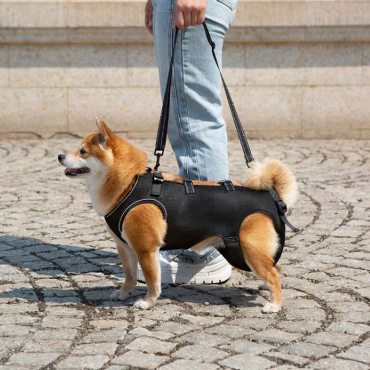 犬用 ハーネス 犬 中型犬 介護用品 介護用ハーネス 老犬介護ハーネス 犬 介護ハーネス 介護用 全身ハーネス シニア犬 介護 歩行補助ハーネス 補助ハーネス 小型犬 老犬 大型犬 老犬介護 犬用ハーネス 排泄介助 春夏秋冬 通年着用/夏用メッシュ生地