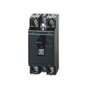 パナソニック 分電盤【BS1112】安全ブレーカHB型 定格電流20A 定格遮断容量1.5kA 30AF 2P1E 100V〔FE〕