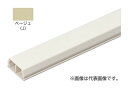未来工業 【PMLM-4J (5本入)】ベージュ プラモール (中仕切付) 4号 全長1m(4)