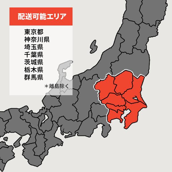 ☆関東限定 QUOカード1000円付☆●日立 業務用エアコン【RPV-GP112RGH5】ゆかおき シングル 省エネの達人プレミアム 三相200V 4.0馬力相当 (旧品番 RPV-GP112RGH4)