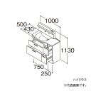 ###TOTO 洗面化粧台 ハイクラス オクターブスリム 片寄せボウルプラン 右片寄せボウル回避あり 2段引き出し 間口1000 一般地 受注約1週〔GA〕