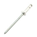 ∀藤原産業 【FR-45】SK11 フリーサイズリベット 30入 (4977292217323)