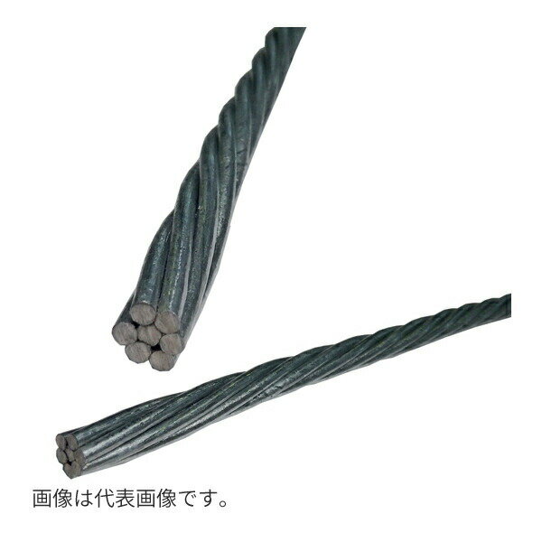 åԡ/JAPPYJMS 3830ۥå󥸥㡼磻䡼 38SQ Ĺ30m