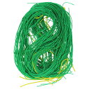 ∀藤原産業 【セフティー3 園芸ネット 目合10cm 90cmX270cm】園芸ネット (4977292663359)