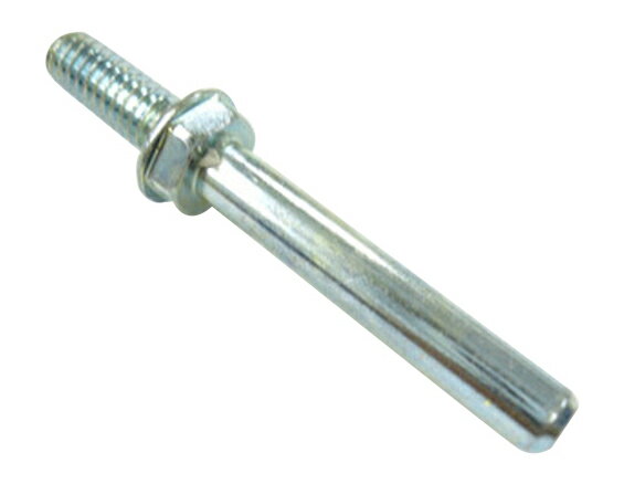 ϥ/ICHIGUCHI 89808BSͥۥѼB (4951989898088)