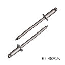 ∀ロブテックス/エビ 【NST41MP】ブラインドリベット(丸頭) エコパック ステンレス 45本入 (4963202096553)(4)
