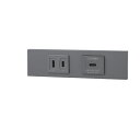 β神保電器 配線器具【KAG-2624】NKシリーズ 家具・機器用 コンセント+USBコンセント(Type-C)セット(ソリッドグレー) 受注生産