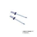 ∀ロブテックス/エビ 【AP43】APリベット アルミボディ スティールマンドレル 1000本入 (4963202029087)