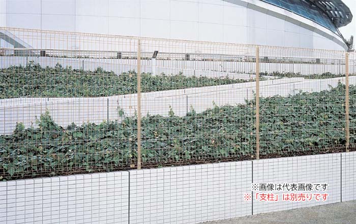 納期目安：お取り寄せ品(詳しくはこちらをクリック) ※こちらの商品はメーカー直送品となります。※こちらの商品は代引きでのお取り扱いはできません。ご入金確認後のお手配です。 ※個人宅は受付しておりません。ご注文の際は法人名をご記載ください。 ...