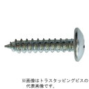 βマーベル/MARVEL ファスナーシステム【TR-30P】トラスタッピングビス 4×30 75本入 {R}