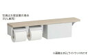 TOTO 【YHB63NBR】ELライトウッドN 木製手すり 棚タイプ(収納付) 棚付二連紙巻器 (旧品番 YHB63NB)〔HB〕