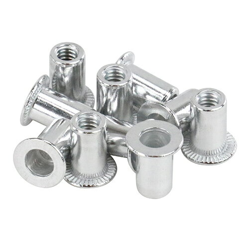 ∀藤原産業 【4M-15】SK11 ナットリベット 10入 (4977292217170)