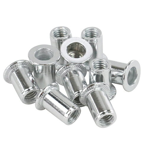 ∀藤原産業 【5M-15】SK11 ナットリベット 10入 (4977292217194)