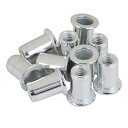 ∀藤原産業 【6M-25】SK11 ナットリベット 10入 (4977292217217)