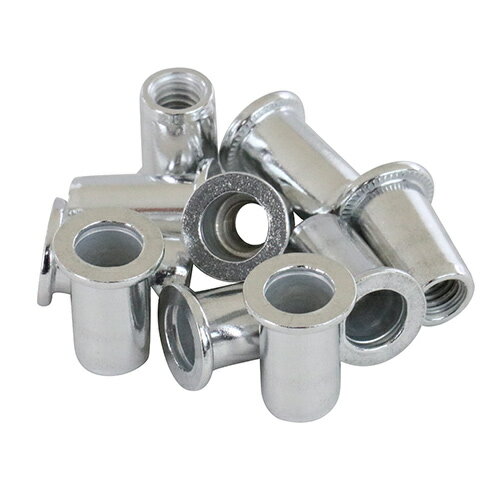 ∀藤原産業 【6M-40】SK11 ナットリベット 10入 (4977292217224)