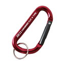∀藤原産業 【SAC-770Bレッド】SK11 アルミカラビナ B (4977292115780)(4)