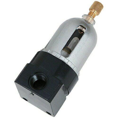 ∀藤原産業 【AF-1】SK11 エアフィルタ 44μ固定用 (4977292442961)