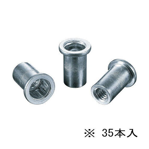 ∀ロブテックス/エビ 【NAD4MP】エビナット(ラージフランジ) エコパック アルミボディ 35本入 (4963202001762)