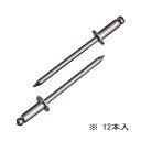 ∀ロブテックス/エビ 【NST68MP】ブラインドリベット(丸頭) エコパック ステンレス 12本入 (4963202096768)