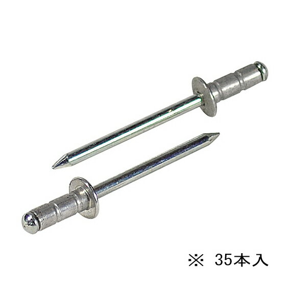 ∀ロブテックス/エビ 【AP64MP】APリベット エコパック アルミボディ スティールマンドレル 35本入 (4963202097451)