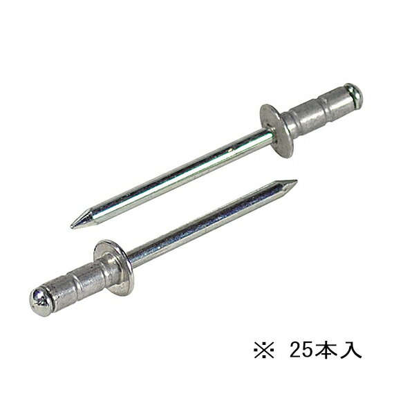 ∀ロブテックス/エビ 【AP68MP】APリベット エコパック アルミボディ スティールマンドレル 25本入 (4963202097499)