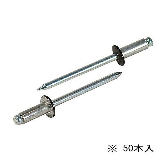 ∀ロブテックス/エビ 【CNSA53BRMP】ブロンズ ブラインドリベット(カラータイプ) エコパック アルミボディ スティールマンドレル 50本入 (4963202097659)